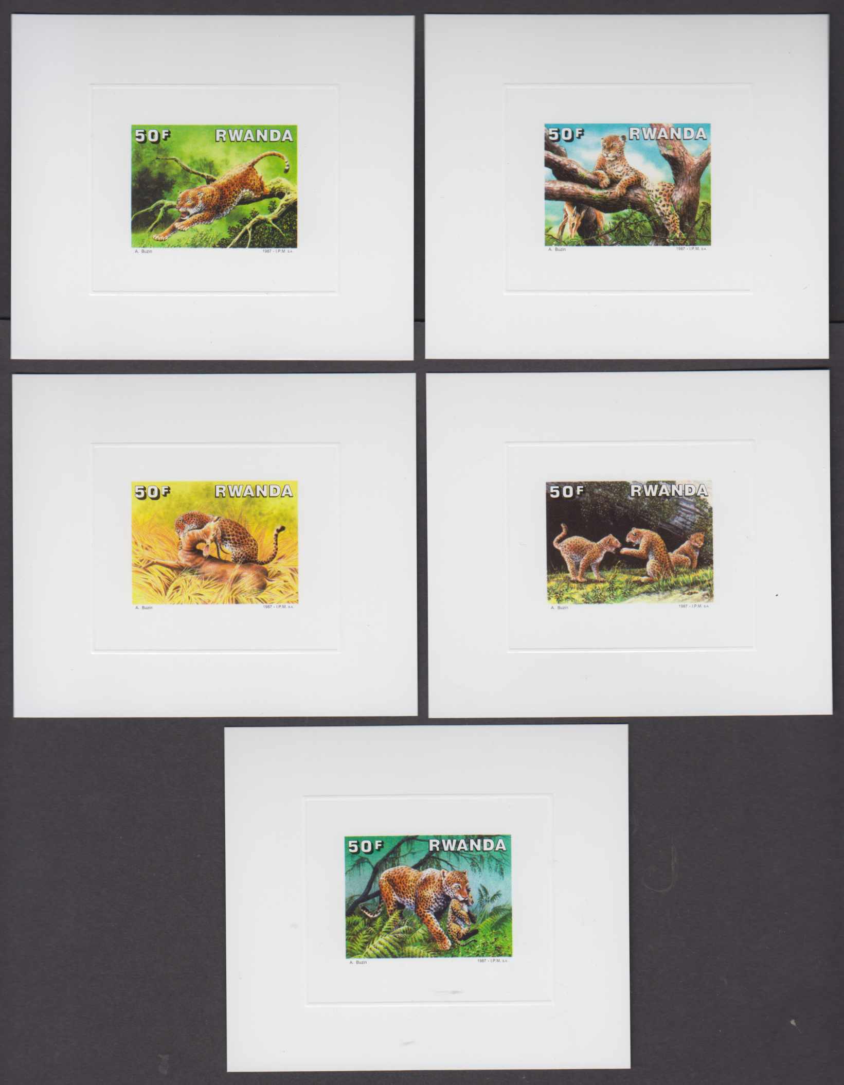 Rwanda 1987 — Leopards
