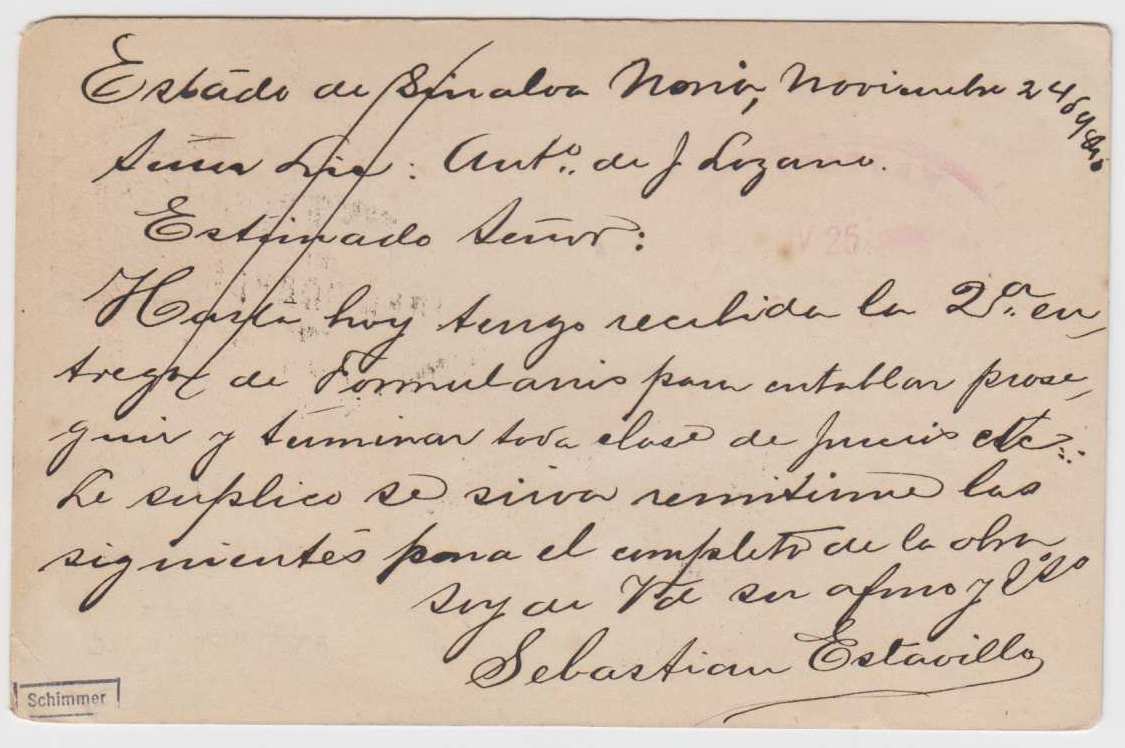 Mexico 1895 — Nov 24