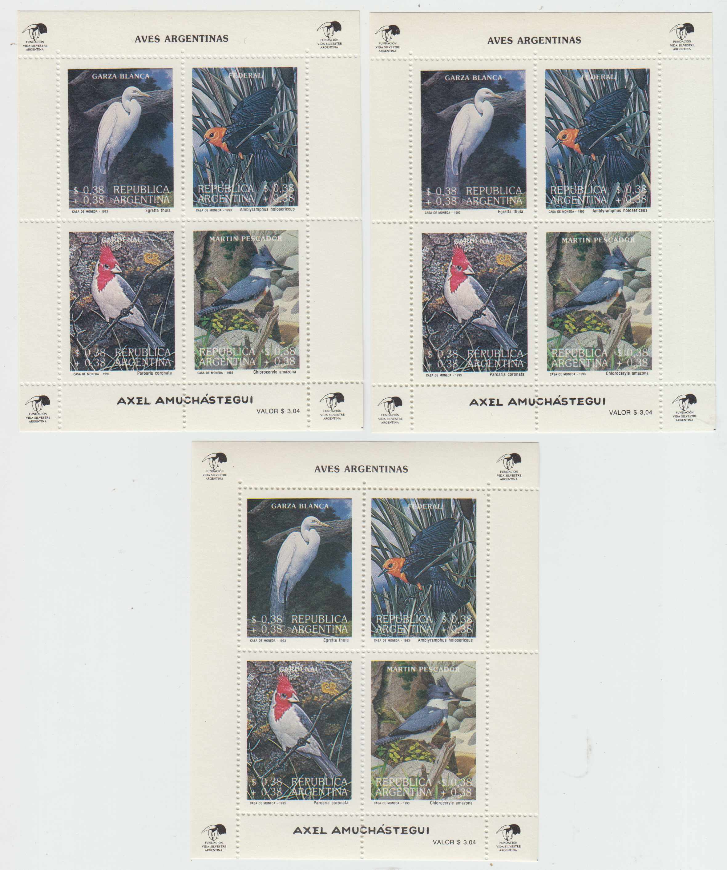 Argentina 1993 — Scott B163