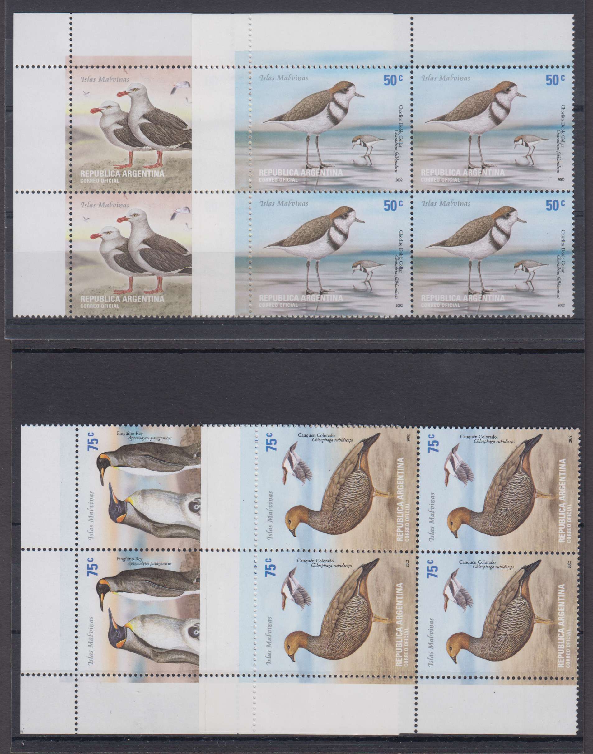Argentina 2002 — Falkland Islands birds