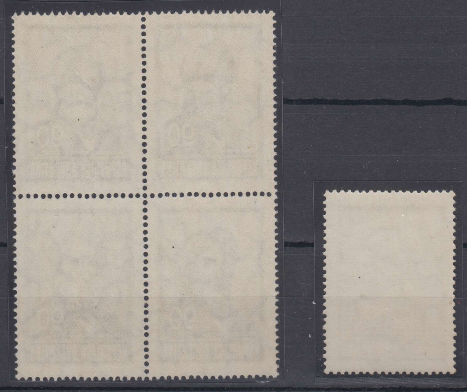 Argentina 1965 — Scott 891 variety