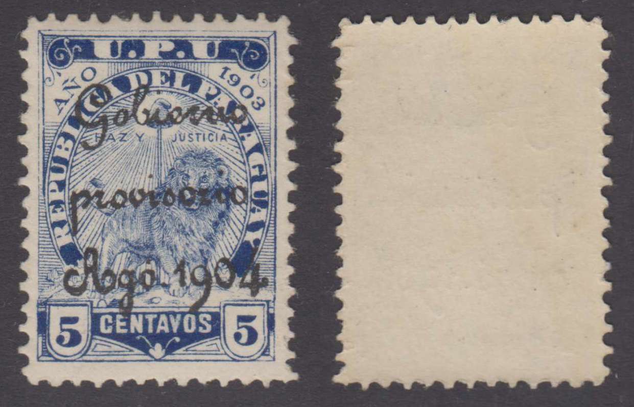 Paraguay 1904 — Revolutionary Issue