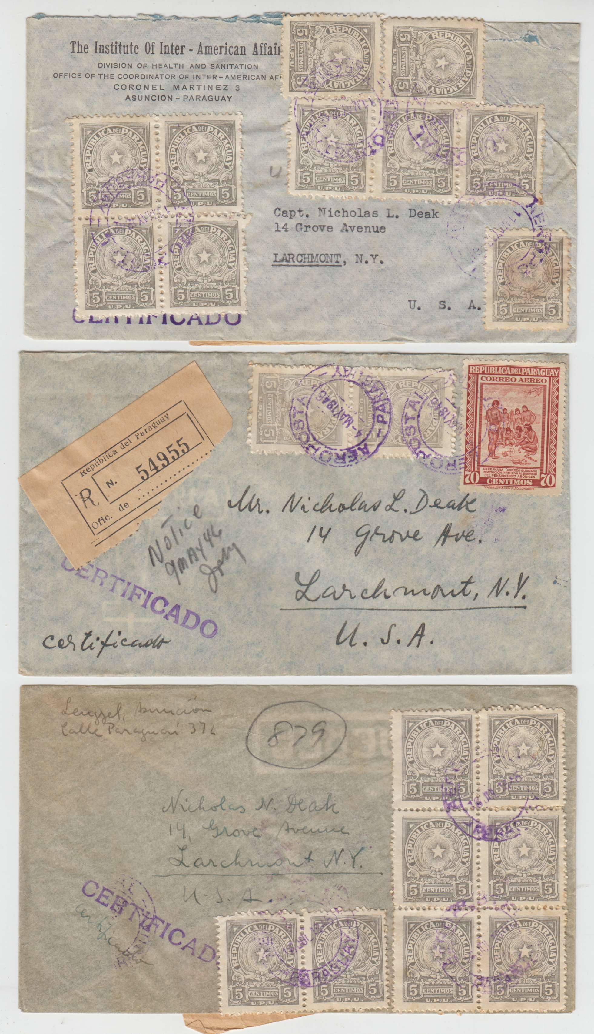 Paraguay 1950 — Arms issue