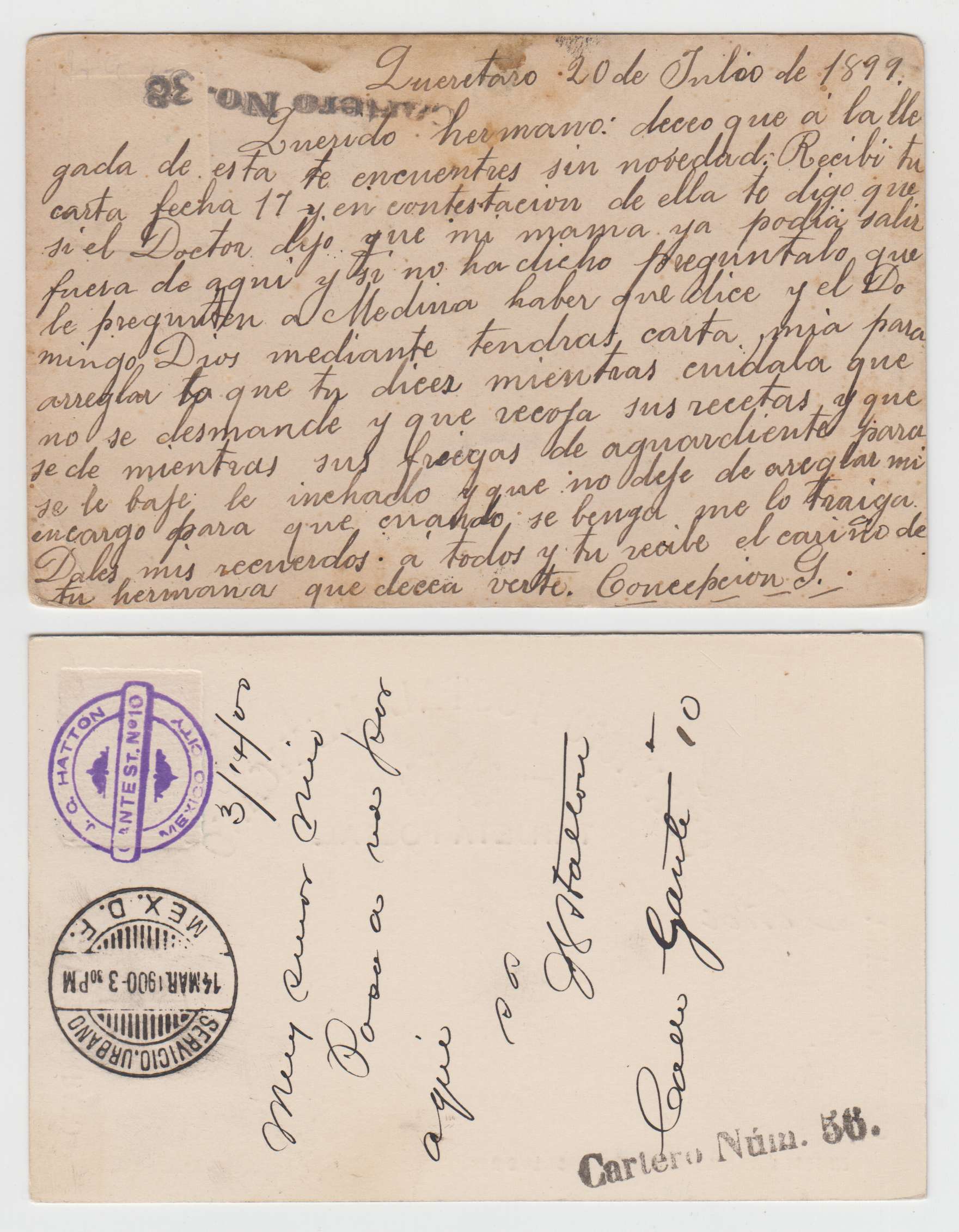 Mexico 1895 — Cartero (postman) cancels