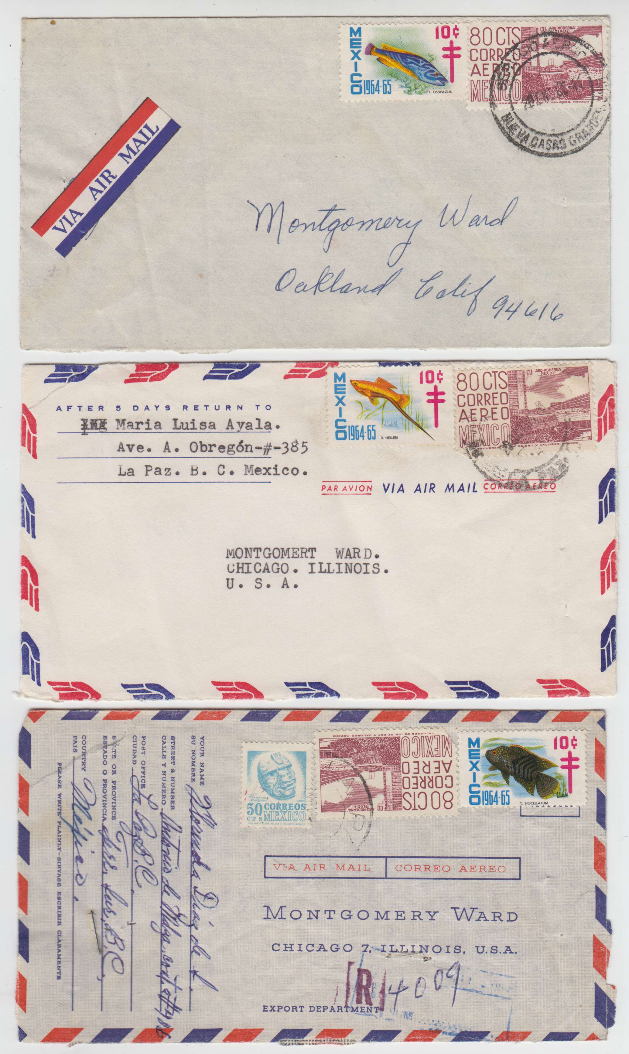 Mexico 1955 — Tbc relief labels