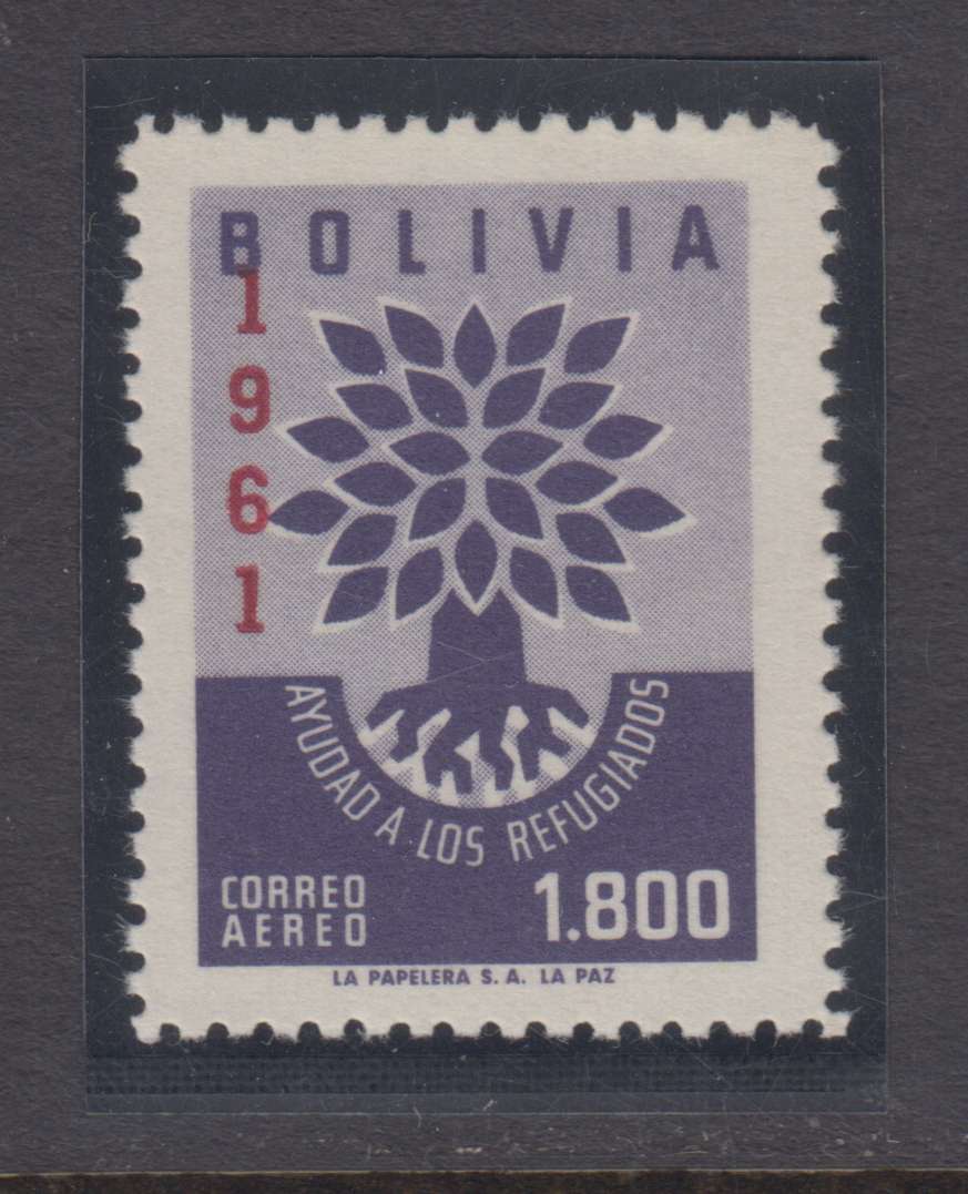 Bolivia 1961 — Unadopted Essay