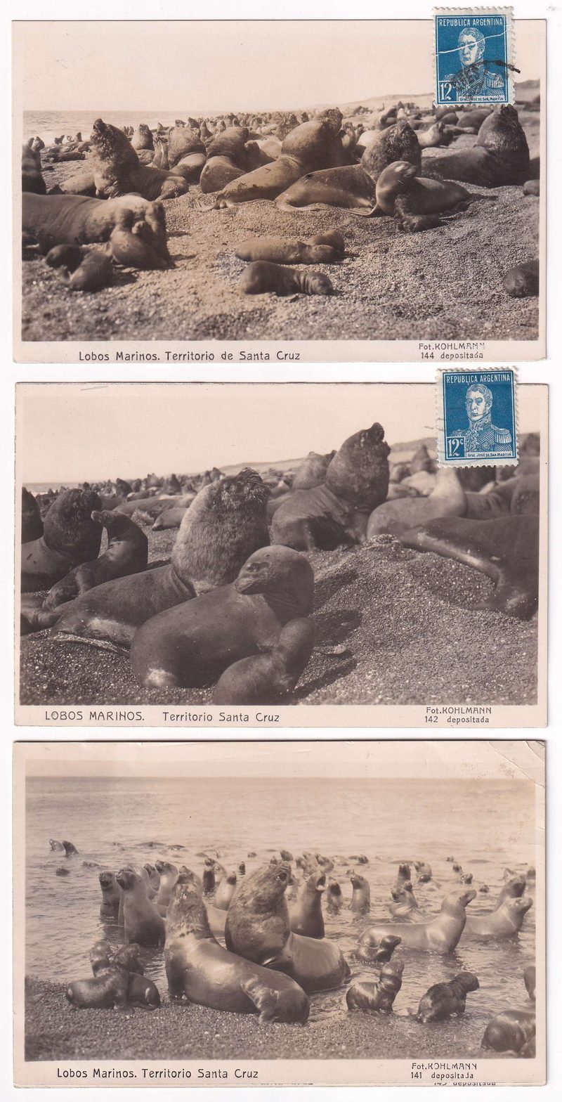 Argentina 1924 — Photo Ppc's