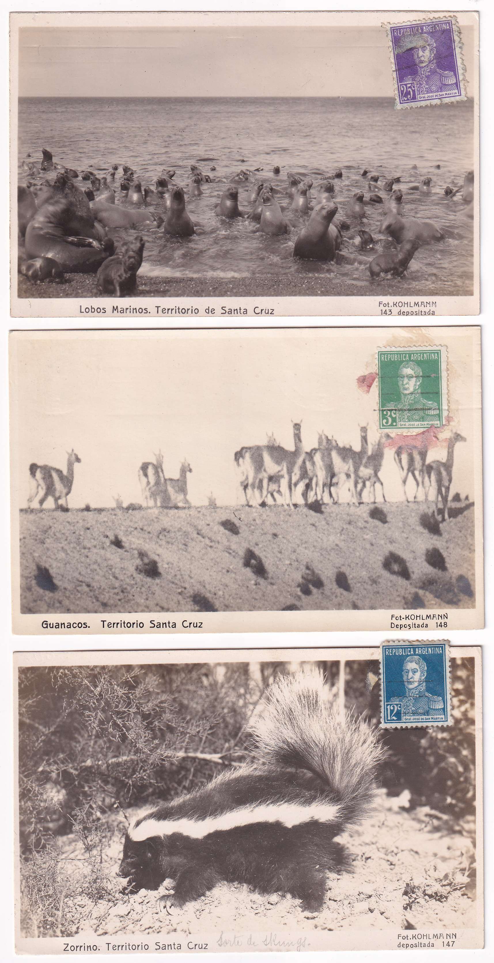 Argentina 1924 — Photo Ppc's