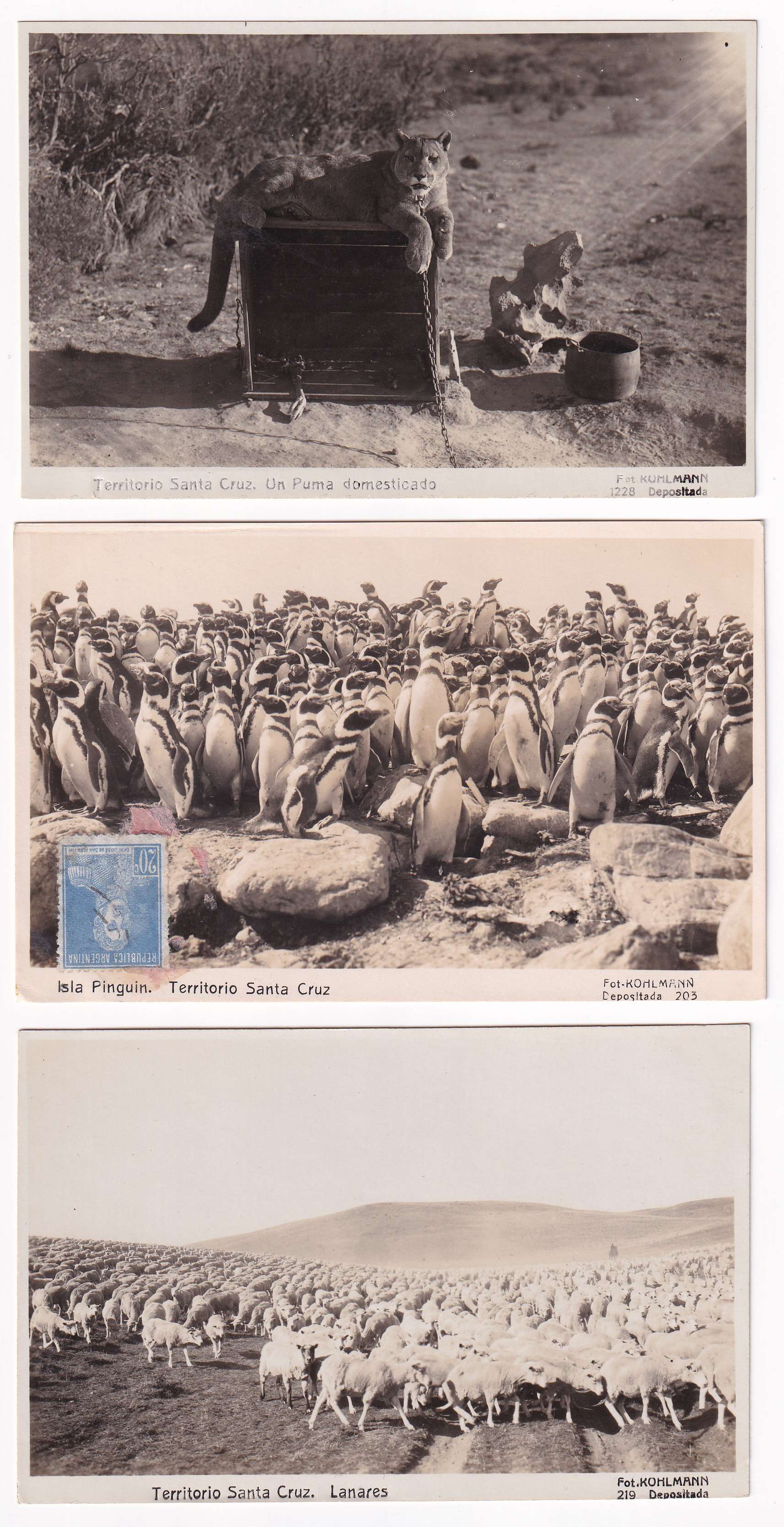 Argentina 1924 — Photo Ppc's