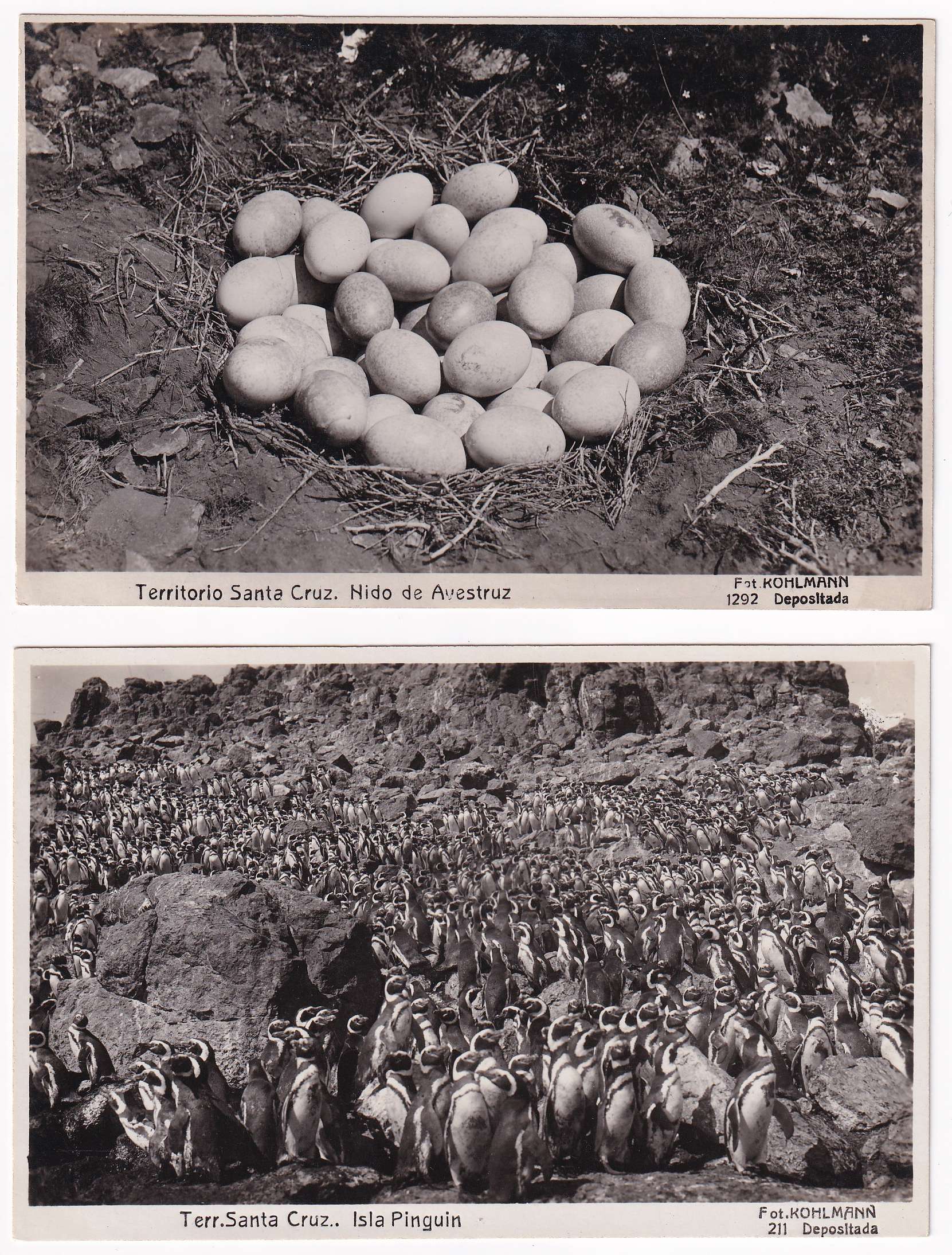 Argentina 1924 — Photo Ppc's