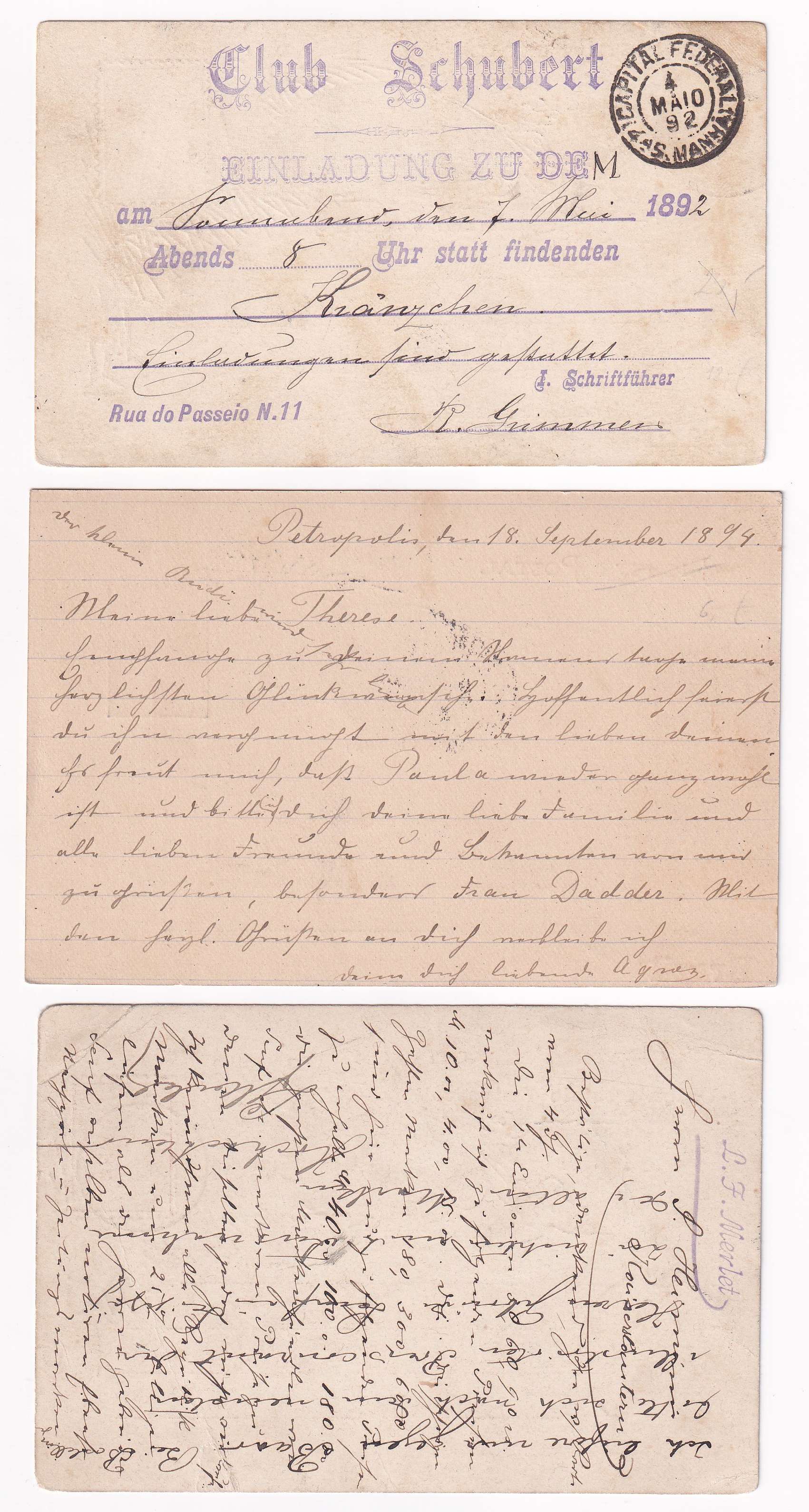 Brazil 1891 — Better group of 6 entires