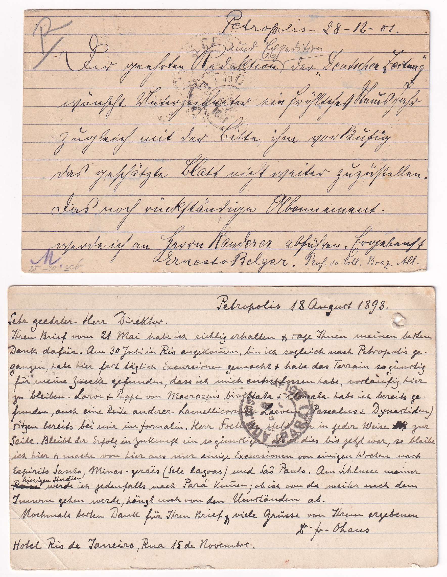 Brazil 1898 — Group of 8 entires used domestically including one due rated "T"